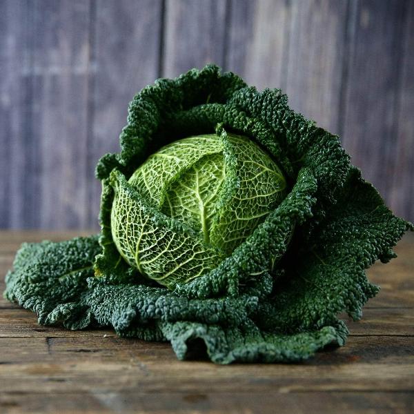 AcquaGarden Cabbage 'Savoy'