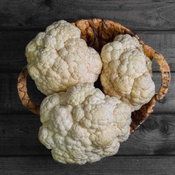 AcquaGarden Cauliflower 'Maystar'