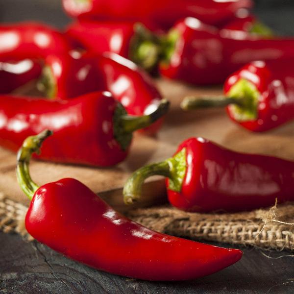 AcquaGarden Chilli 'Apache'