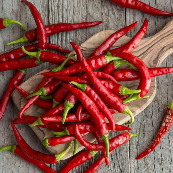 AcquaGarden Chilli 'Cayenne'