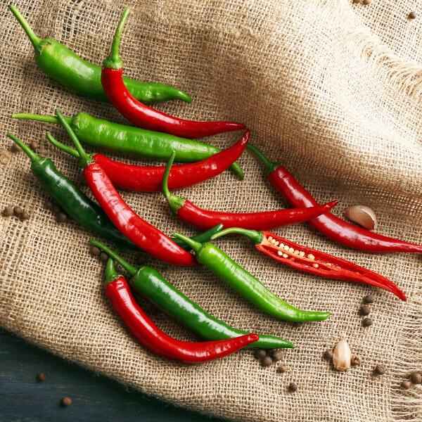 AcquaGarden Chilli 'Joker'