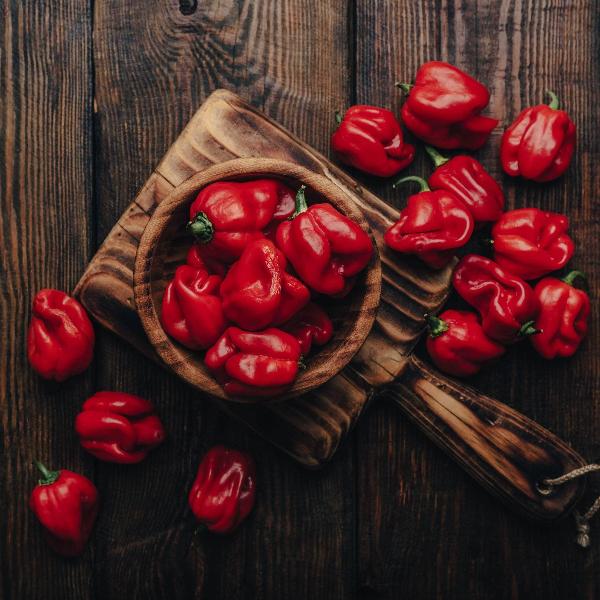 AcquaGarden Chilli 'Scotch Bonnet'