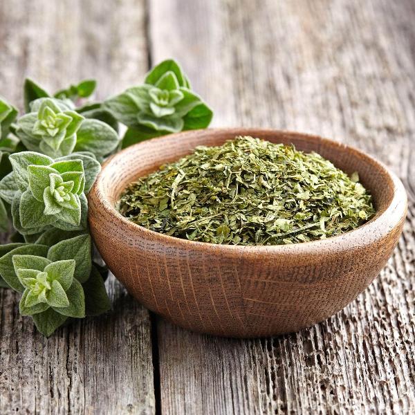 AcquaGarden Outdoor Plants Oregano