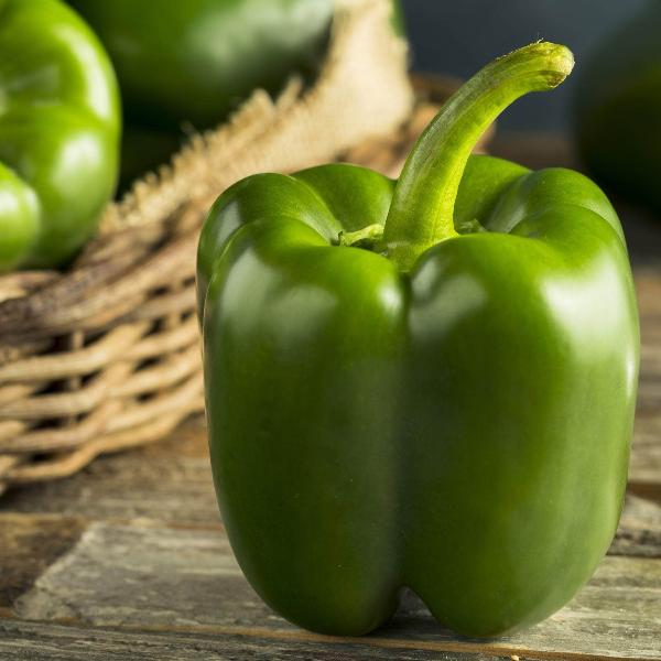 AcquaGarden Sweet Pepper 'Bellboy Green'