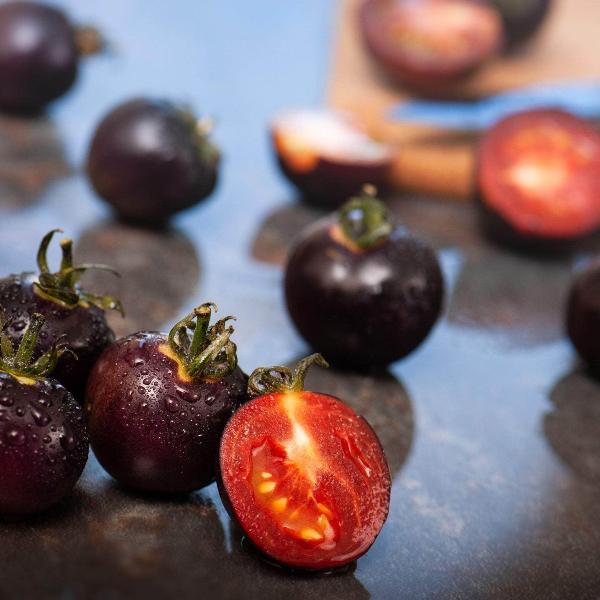 AcquaGarden Tomato 'Black Cherry'