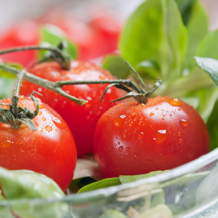 AcquaGarden Tomato 'Red Alert'