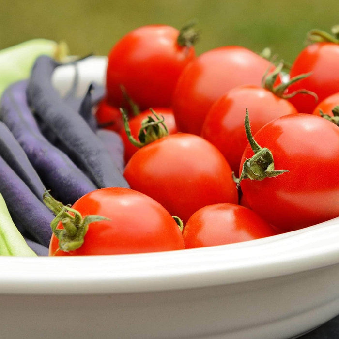 AcquaGarden Tomato 'Red Alert'