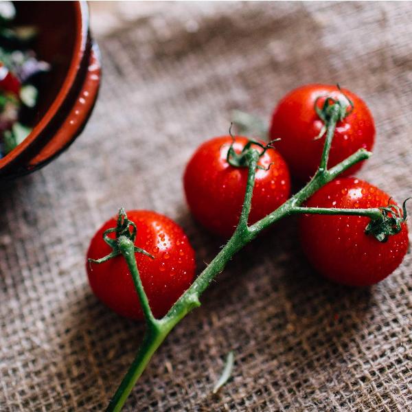 AcquaGarden Tomato 'Sweet Million’