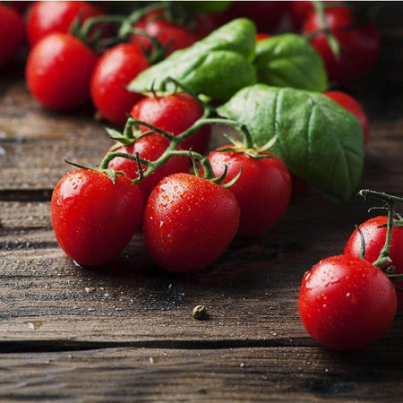 AcquaGarden Tomato 'Tumbler’