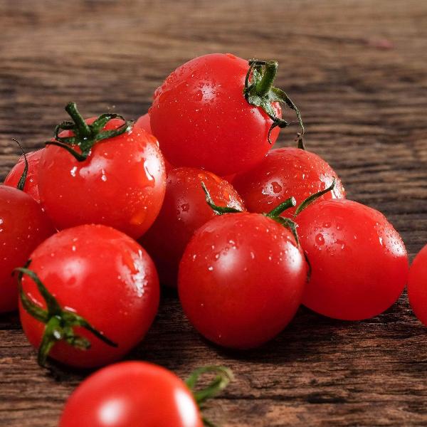 AcquaGarden Tomato 'Tumbling Tom Red’