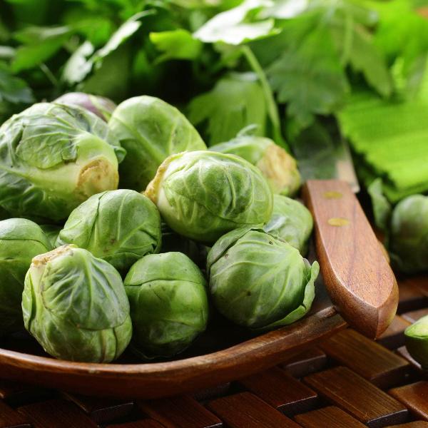 Vegetable Plants