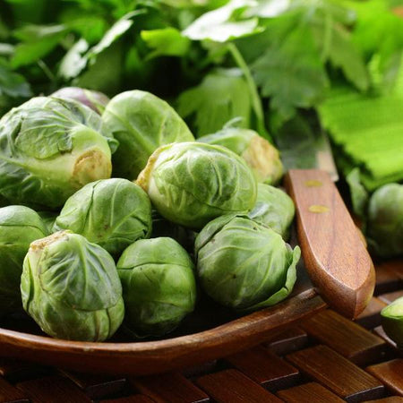 AcquaGarden Brussel Sprouts 'Brigitte'