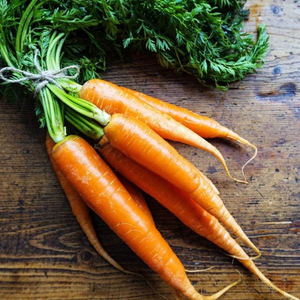 AcquaGarden Carrot 'Chanteney’