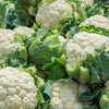 AcquaGarden Cauliflower 'Maystar'