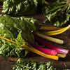 AcquaGarden Chard 'Rainbow'