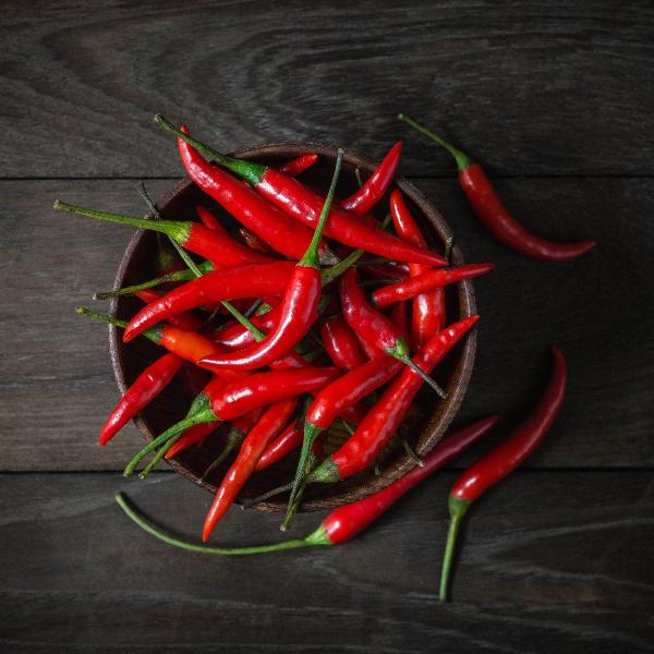 AcquaGarden Chilli 'Cayenne'