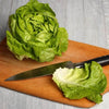 AcquaGarden Lettuce 'Butterhead'