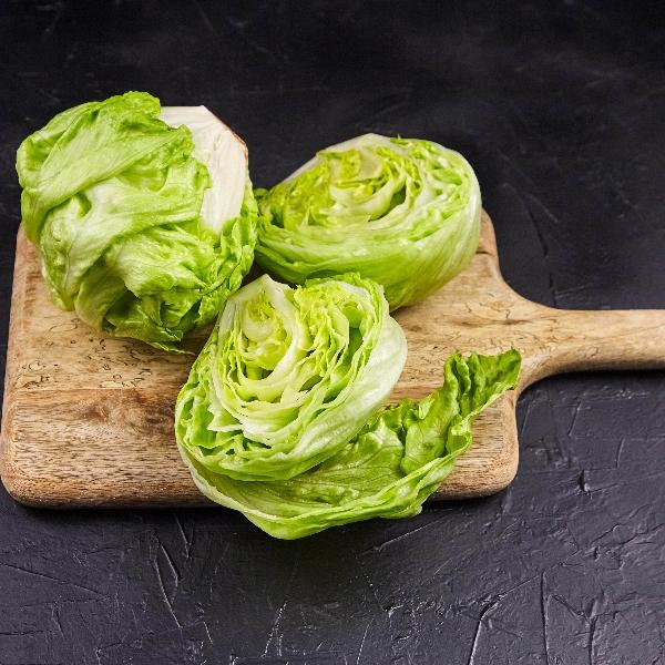 AcquaGarden Lettuce 'Iceberg’