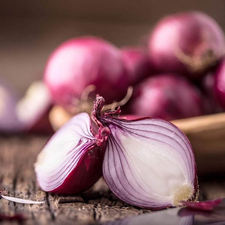 AcquaGarden Onion 'Red Bulb'