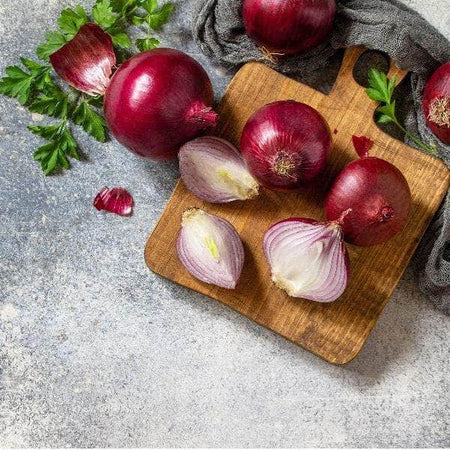 AcquaGarden Onion 'Red Bulb'