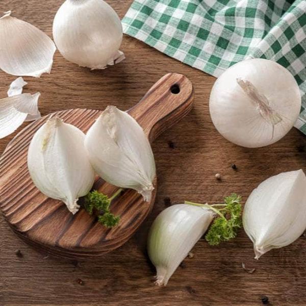 AcquaGarden Onion 'White Bulb'