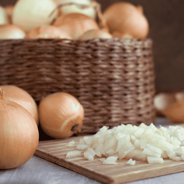 AcquaGarden Onion 'White Bulb'