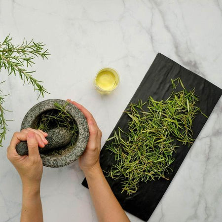 AcquaGarden Outdoor Plants Rosemary 'Mrs Jessops'