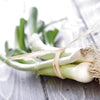 AcquaGarden Salad Onion 'White Lisbon'