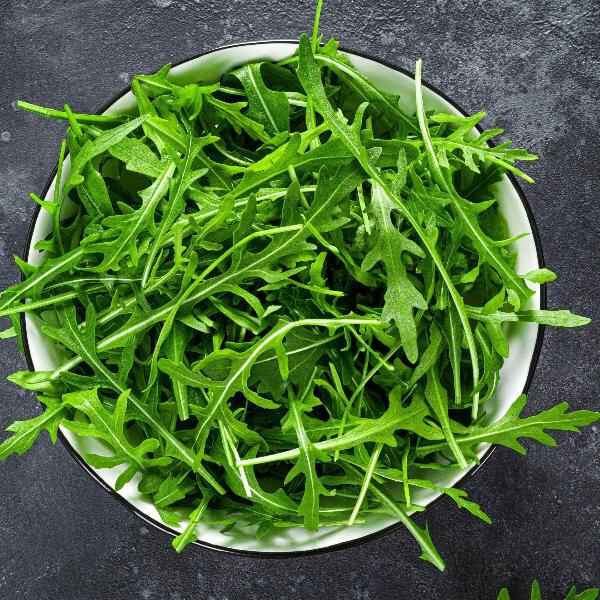 AcquaGarden Salad Rocket 'Runway'