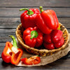 AcquaGarden Sweet Pepper 'Bellboy Red’