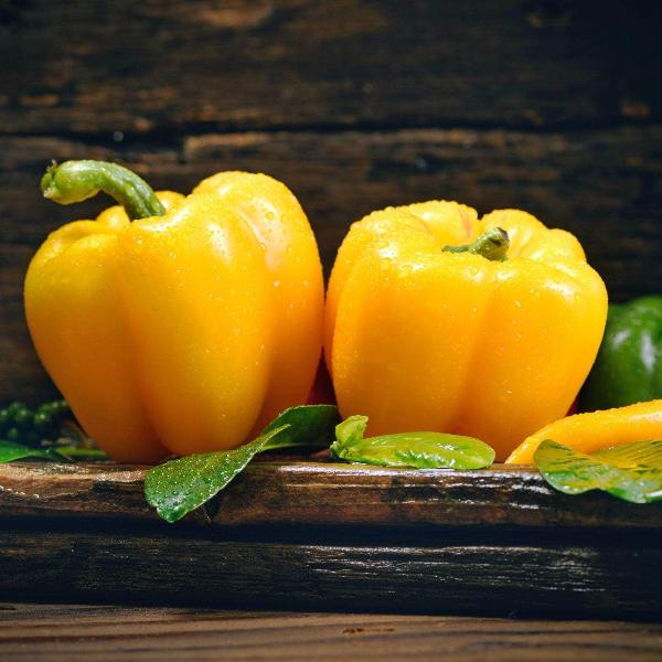 AcquaGarden Sweet Pepper 'D'Asti Giallo Yellow'