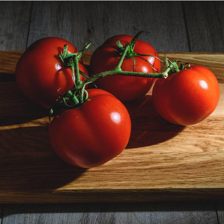 AcquaGarden Tomato 'Ailsa Craig'