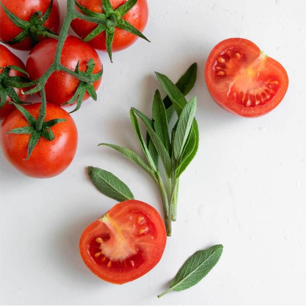 AcquaGarden Tomato 'Alicante'