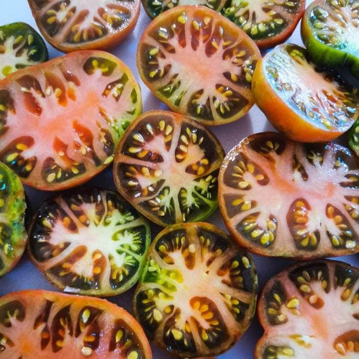 AcquaGarden Tomato 'Black Russian'