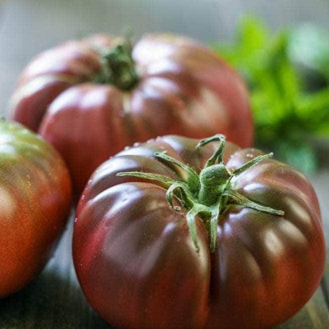 AcquaGarden Tomato 'Black Russian'