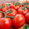AcquaGarden Tomato 'Shirley’