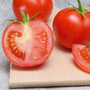AcquaGarden Tomato 'Shirley’