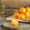 AcquaGarden Tomato 'Sun Baby'