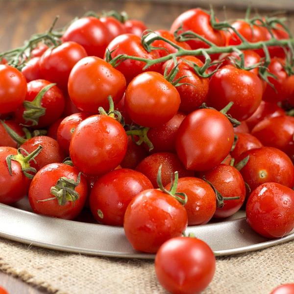 AcquaGarden Tomato 'Sweet Million’