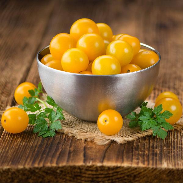 AcquaGarden Tomato 'Tumbling Tom Yellow’