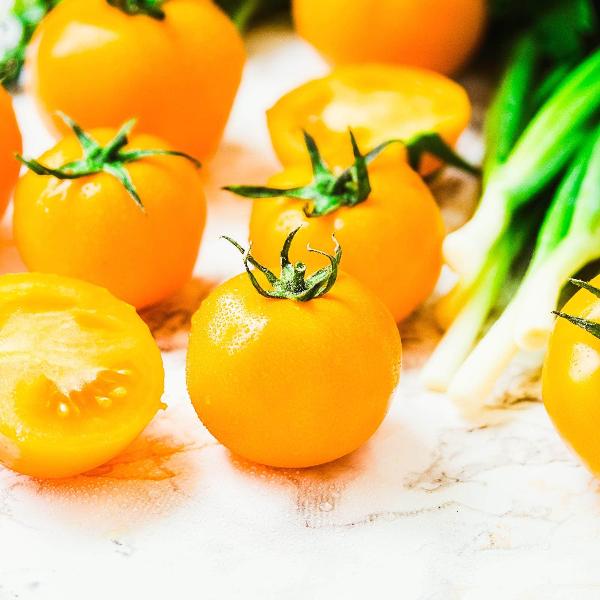 AcquaGarden Tomato 'Tumbling Tom Yellow’